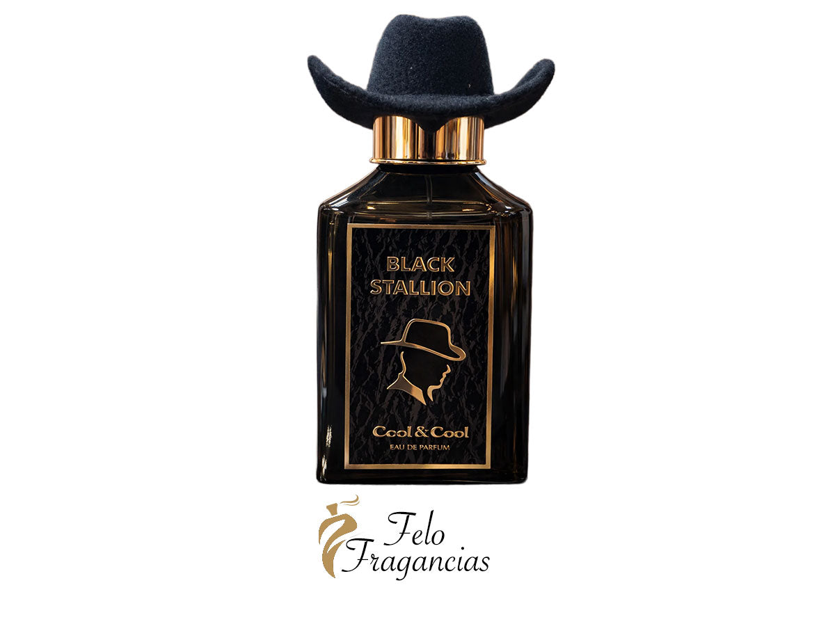 Black Stallion Rodeo C&C Perfume Eau de Parfum 100 ml (3.4 oz)