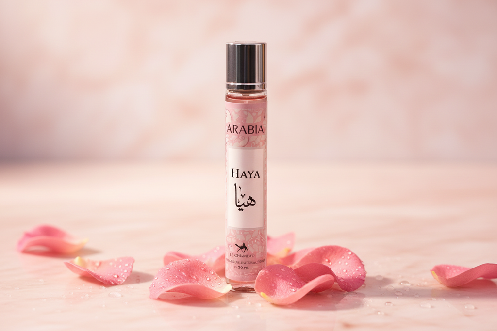 Le Chameau Arabia Haya - Editorial